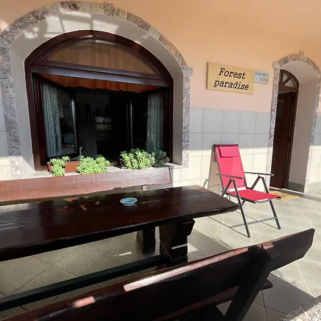 Apartment & Studio Forest Paradise Cerkno Exterior photo