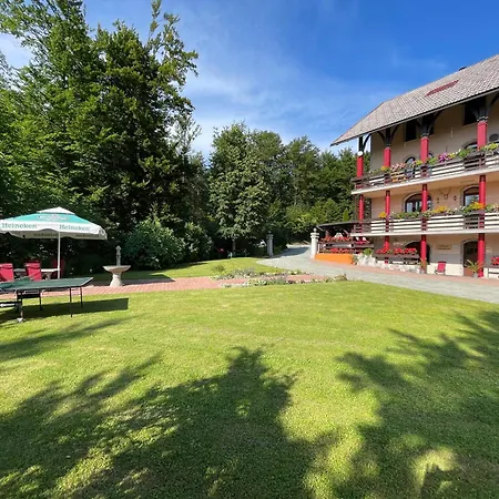 Apartment & Studio Forest Paradise Cerkno Exterior photo