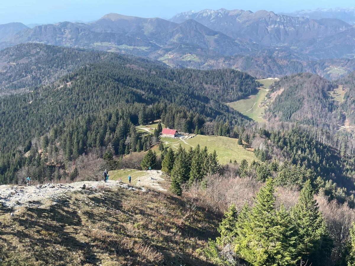& Forest Paradise Cerkno